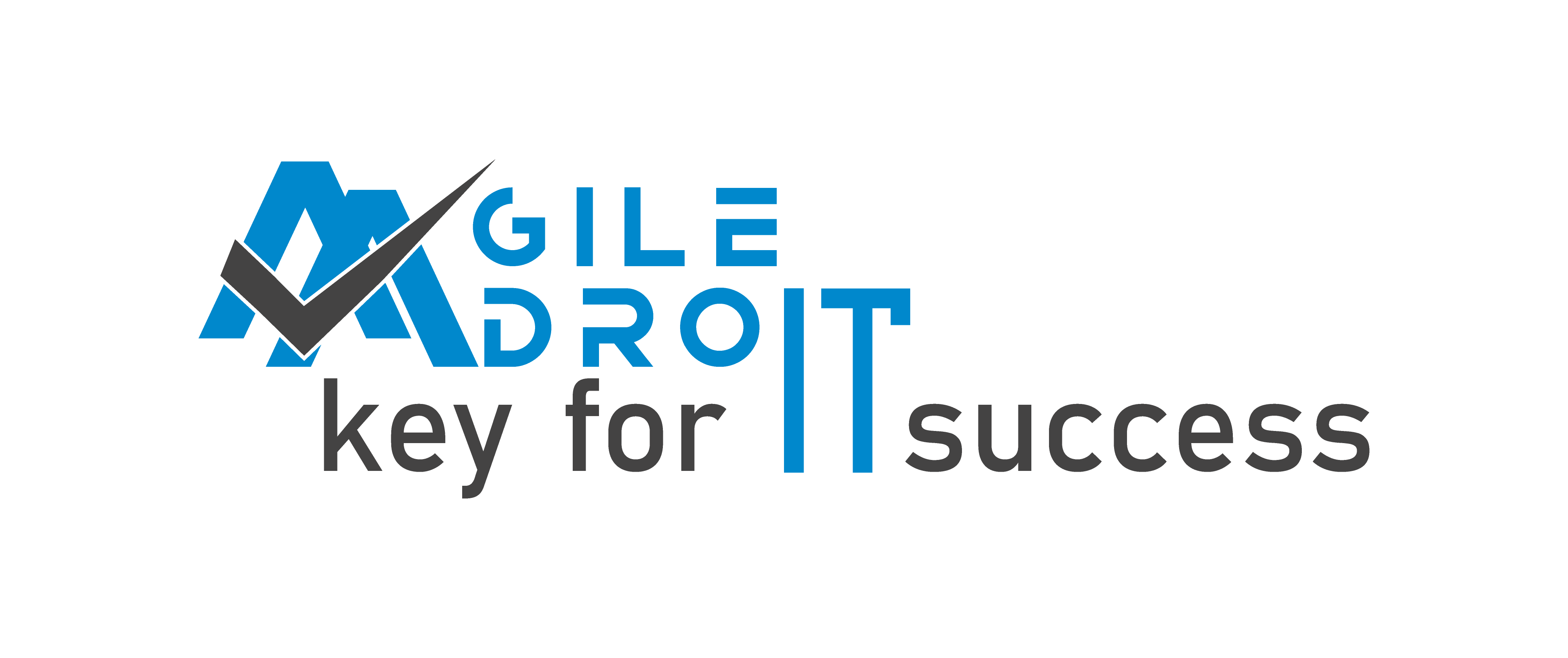 Agile Adroit